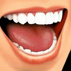 A healthy mouth is a healthy body.